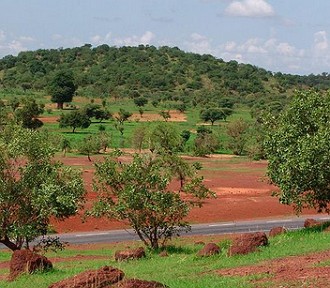 Foto da vegeta&ccedil;&atilde;o com &aacute;rvores e arbustos da savana do Sahel