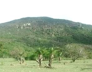 Serra Negra, montanha de Sergipe