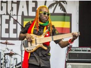 M&uacute;sico de Reggae num show