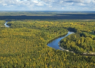Regi&atilde;o de plan&iacute;cie da siberia ocidental
