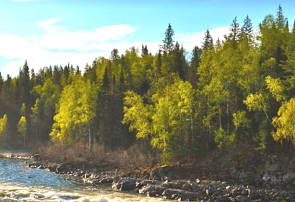 Taiga, vegetação do norte da Ásia