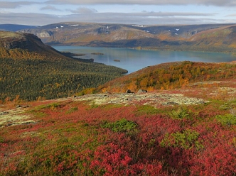 Foto de vegeta&ccedil;&atilde;o do norte da Europa na R&uacute;ssia