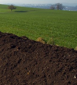 Foto de uma plantação na parte superior e com terra marrom escura na parte inferior