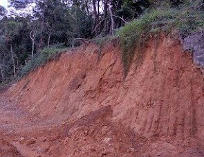 Foto de terra vermelha com vegeta&ccedil;&atilde;o