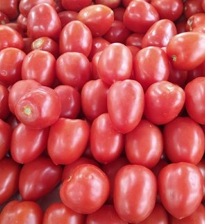 Foto com diversos tomates vermelhos