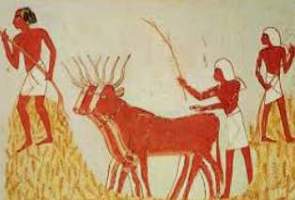 Cultivo de trigo no Egito Antigo