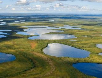 Tundra no canad&aacute;