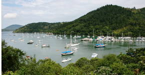 Foto de Ubatuba com barcos na marina