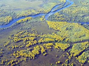Imagem a&eacute;rea de uma regi&atilde;o do Pantanal